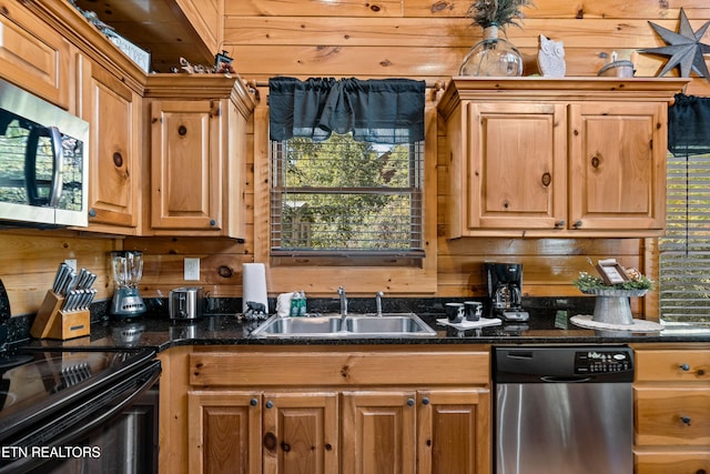 kitchen with stainless steel appliances, a healthy amount of sunlight, and sink