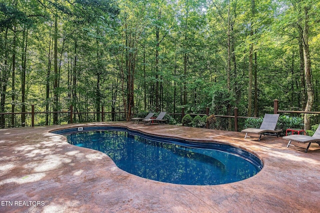 view of swimming pool with a patio