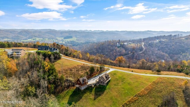 400 Panoramic Dr, Maynardville, TN 37807 - photo 37