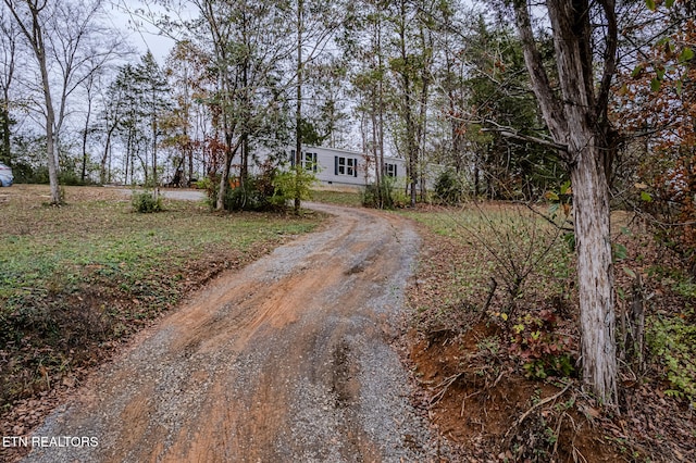 view of road