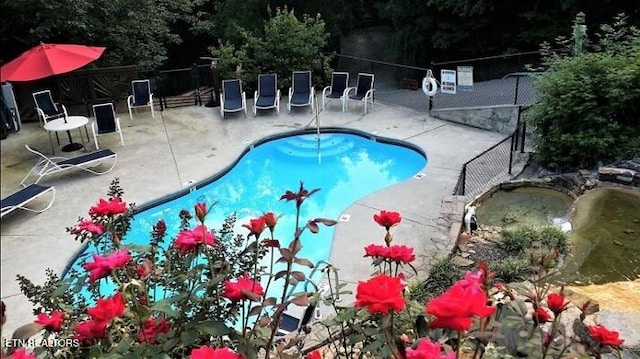 view of pool with a patio area