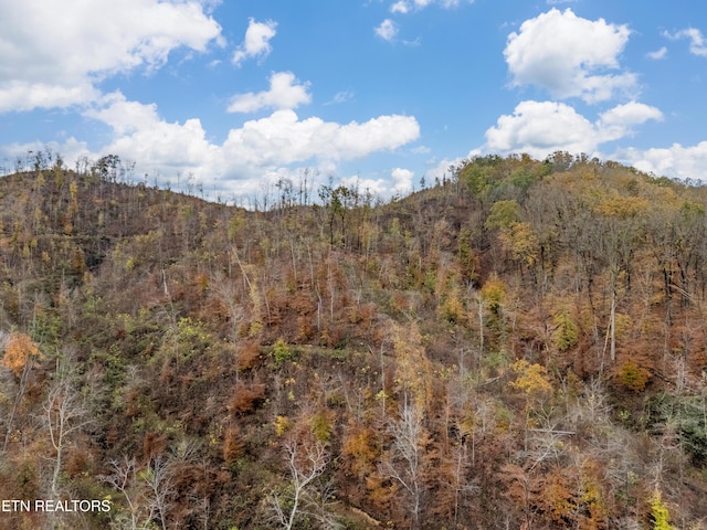 0 Lancer Rd, Harriman, TN 37748