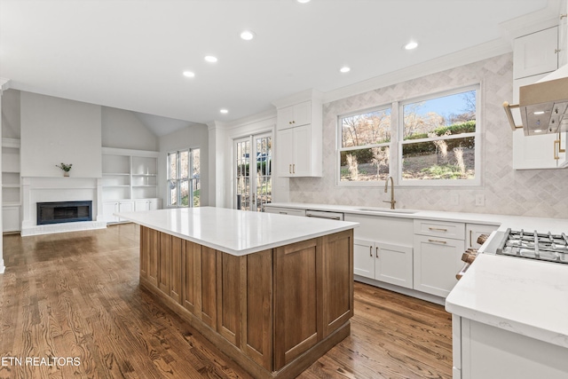 kitchen featuring white cabinetry, dark hardwood / wood-style flooring, a kitchen island, and sink