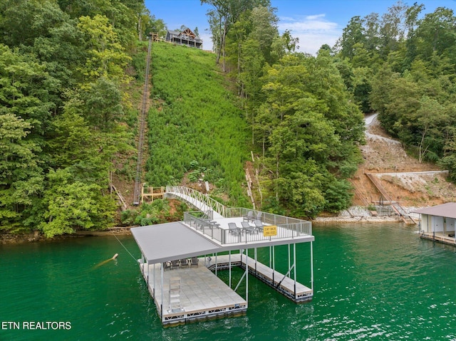 dock area featuring a water view