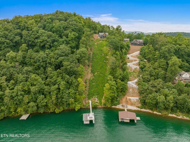 bird's eye view featuring a water view