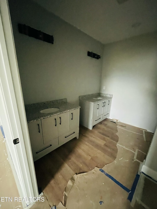 bathroom featuring wood finished floors and vanity