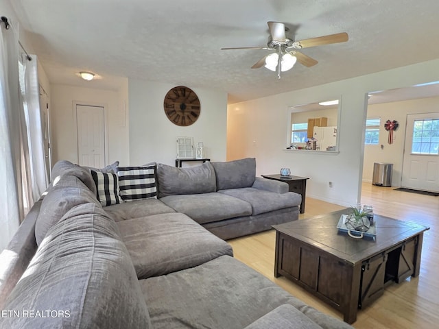 living room featuring ceiling fan, light wood-type flooring, and a textured ceiling