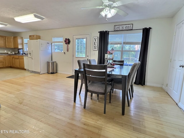 dining room with ceiling fan, a textured ceiling, and light hardwood / wood-style flooring