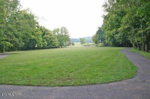 view of property's community featuring a lawn