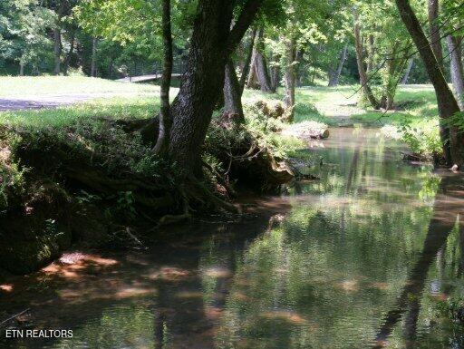 view of local wilderness with a water view