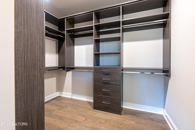 spacious closet featuring hardwood / wood-style flooring