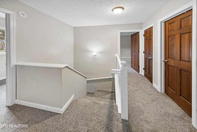 staircase with carpet floors and a textured ceiling