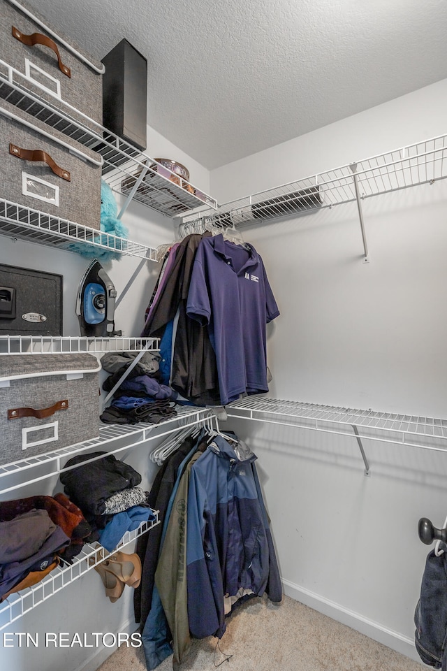 spacious closet with light colored carpet