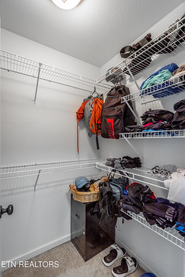 spacious closet with carpet floors