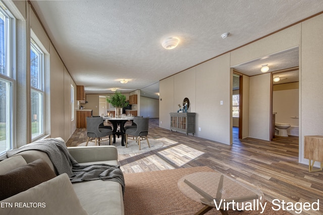 living room featuring a wealth of natural light, a textured ceiling, and hardwood / wood-style flooring