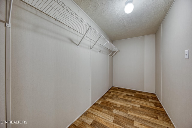 walk in closet featuring hardwood / wood-style floors