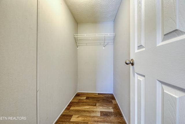 walk in closet with wood-type flooring