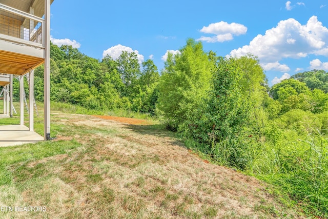1160 Meadow Walk Ln Unit 58, Lenoir City, TN 37772 - photo 5