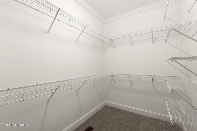 spacious closet featuring dark colored carpet