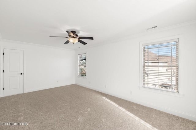 spare room with carpet flooring, ceiling fan, and ornamental molding