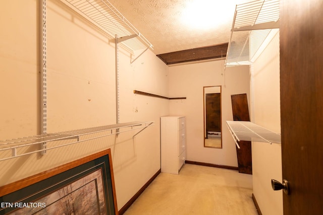 spacious closet featuring light carpet