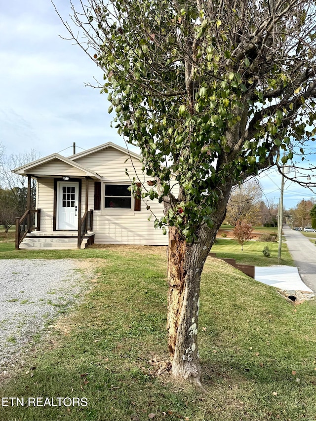 view of front of house with a front yard