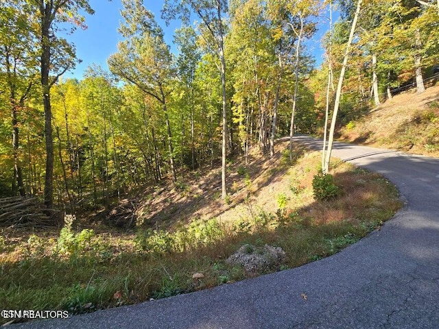 Scenic Trl, Gatlinburg, TN 37738