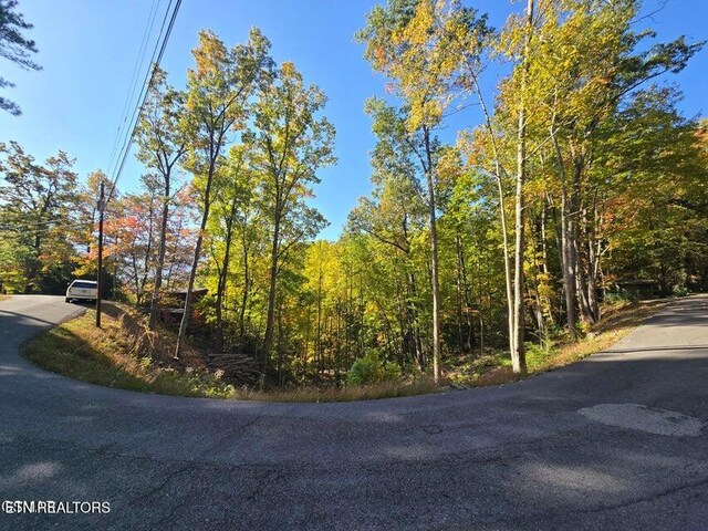 Scenic Trl, Gatlinburg, TN 37738