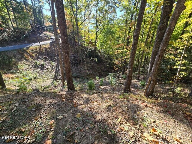 Scenic Trl, Gatlinburg, TN 37738