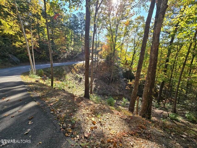 Scenic Trl, Gatlinburg, TN 37738