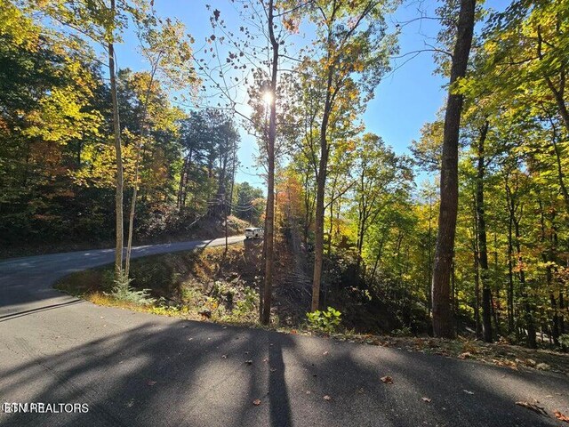 Scenic Trl, Gatlinburg, TN 37738