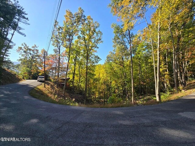 Scenic Trl, Gatlinburg, TN 37738