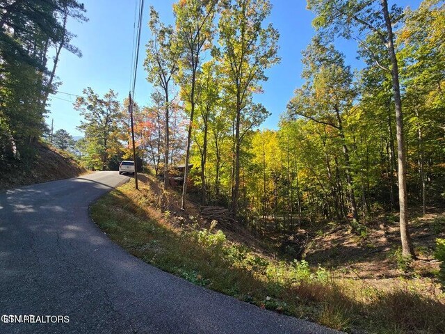Scenic Trl, Gatlinburg, TN 37738