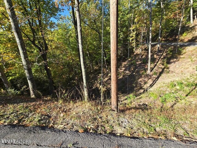 Scenic Trl, Gatlinburg, TN 37738
