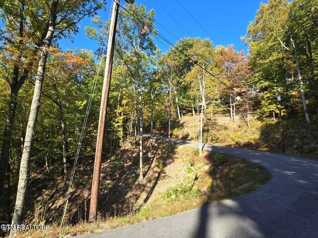 Scenic Trl, Gatlinburg, TN 37738