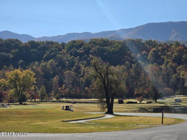 Scenic Trl, Gatlinburg, TN 37738