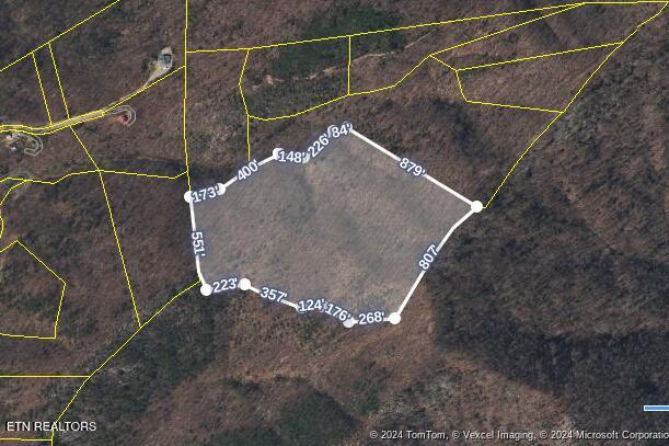 Neddy Mountain Rd, Del Rio TN, 37727 land for sale