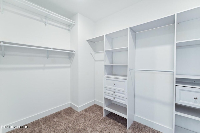 spacious closet with carpet floors