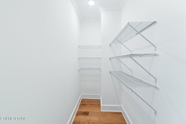 spacious closet featuring light wood finished floors