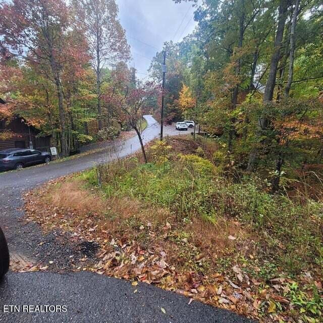 Listing photo 2 for Vista Dr, Gatlinburg TN 37738