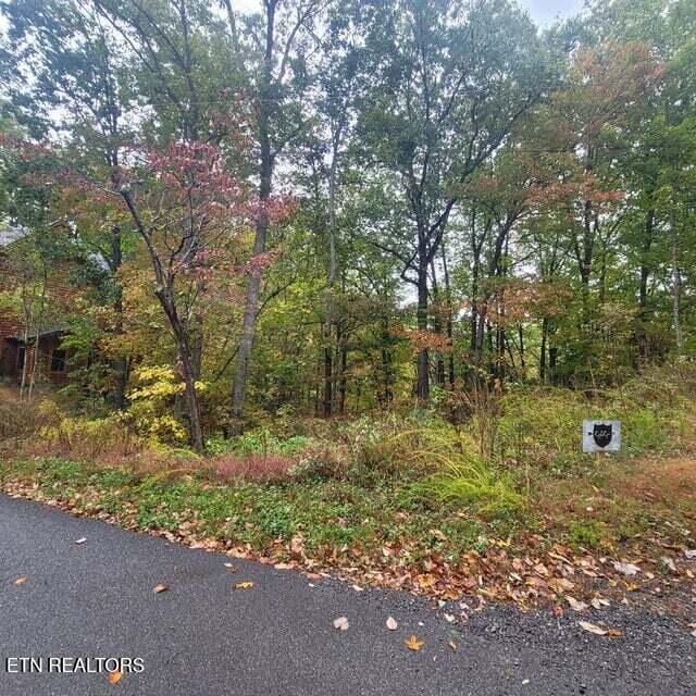 Listing photo 3 for Vista Dr, Gatlinburg TN 37738