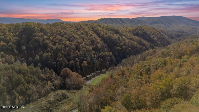 315 Caney Creek Rd, Pigeon Forge, TN 37863 - view of mountain backdrop featuring a heavily wooded area
