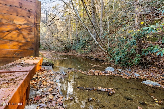 315 Caney Creek Rd, Pigeon Forge, TN 37863 - view of yard