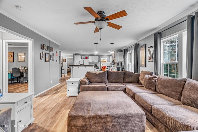 living room featuring a textured ceiling, light hardwood / wood-style floors, ceiling fan, and ornamental molding