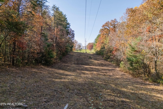 view of road