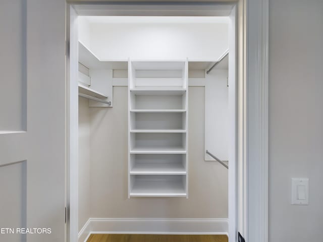 view of spacious closet