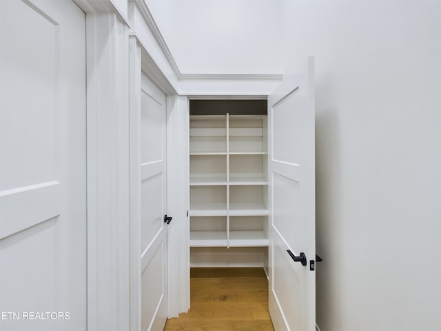 spacious closet featuring wood finished floors