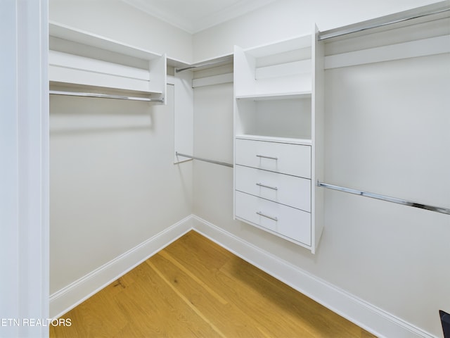 spacious closet with light wood-style floors