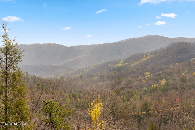 property view of mountains