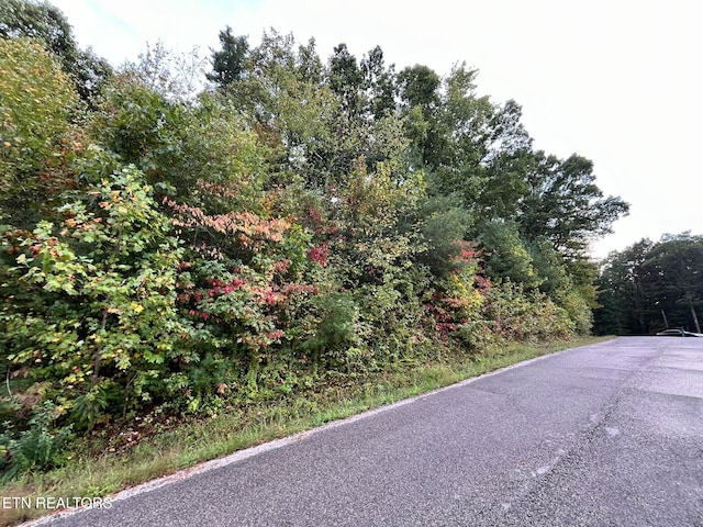 Evergreen Dr, Oneida TN, 37841 land for sale